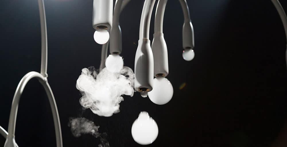 Une nouvelle expérience immersive : un arbre multi sensoriel 