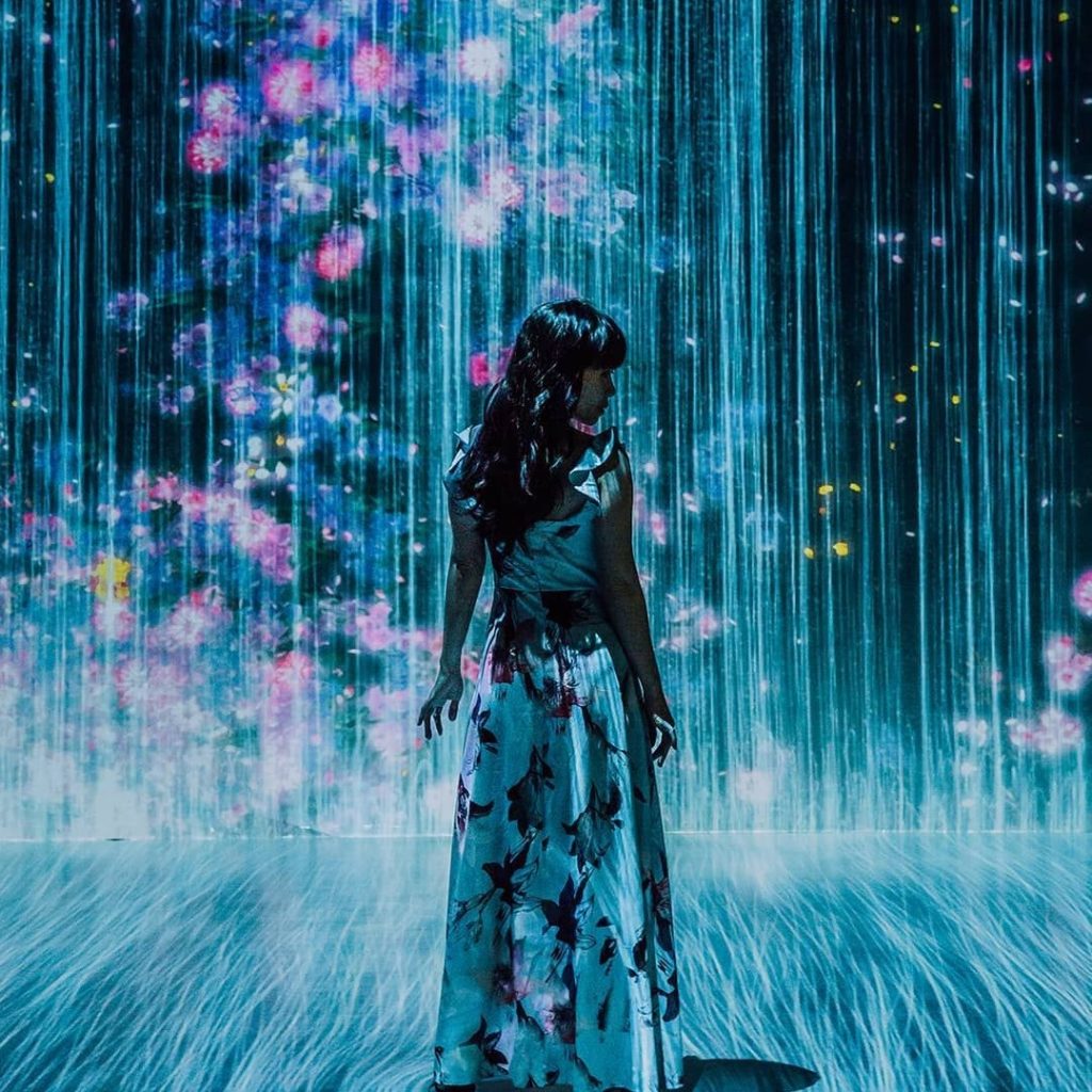 immersive experience