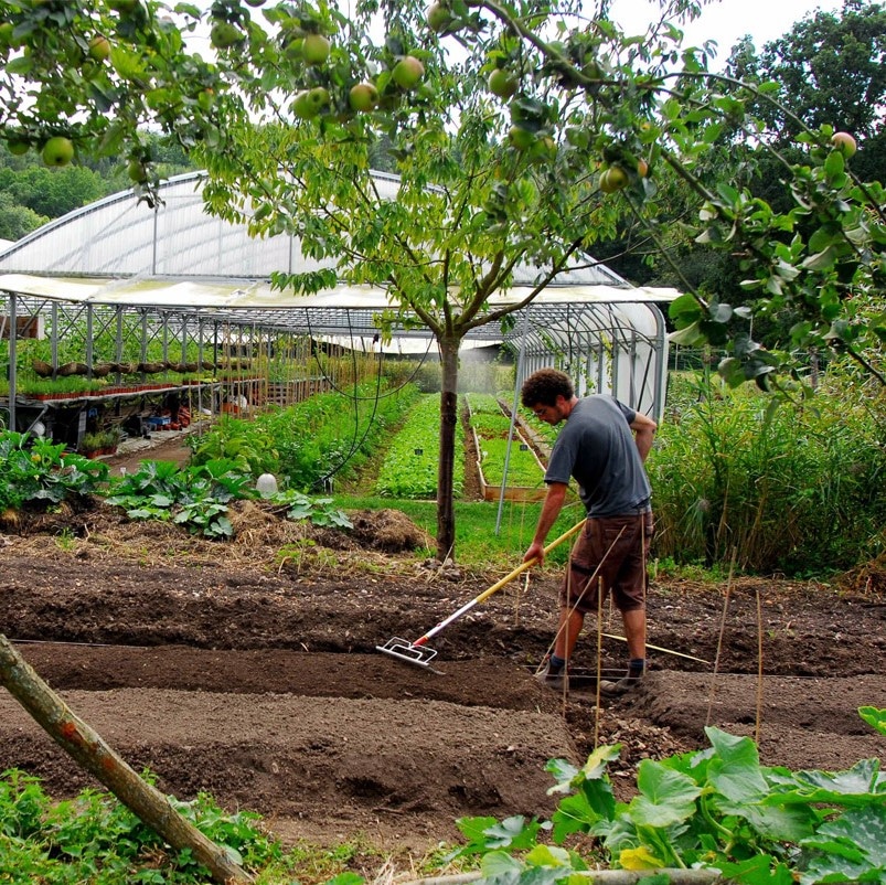 4 lieux pour être en phase avec la nature à Bernay