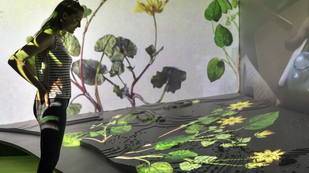 Top 5 des expositions immersives